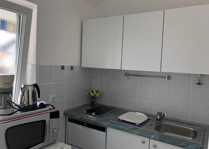 Kraljev Stanko 비오그라드나모루